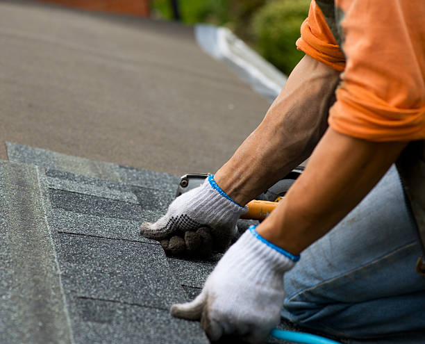 Best Metal Roofing Contractor  in Frankfort, KY
